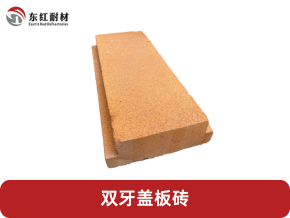 ˹���գ�SLEP����t-�p���w��